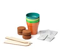 Grow Your Own Bee and Butterfly Garden Kit Gift Bag