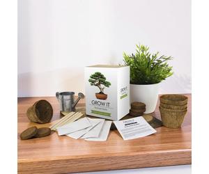 Grow Your Own Bonsai Tree