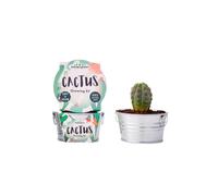 Grow Your Own Cactus Plant Find Me A Gift Multi One Size