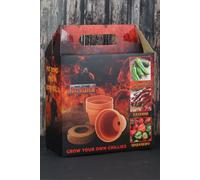 Grow Your Own Chilli Kimm and Miller (UK) Ltd Red 70g
