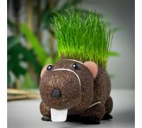 Grow Your Own Hairy Beaver