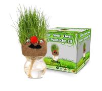 Grow Your Own Kits - Grow Your Own Hairy Mustache Man - Perfect and Funny Gift for Men Women Kids - Fresh Grass Plant for Home and Garden Decoration