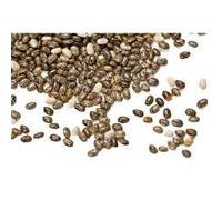 Grow Your Own Micro Herbs