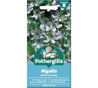 Grow Your Own Nigella Black CARAWAY Seeds For Use In Savoury Dishes & Baking - Black Cumin - Kalonji - For Planting UK - Fothergill's