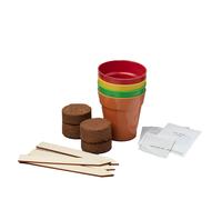 Grow Your Own Pizza Toppings Growing Kit Gift Bag