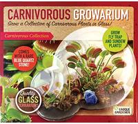 Grow Your Own Venus Fly Trap - Complete Kids Terrarium Kit to Sprout Fly Trap and Sundew Plants - Includes Everything Needed for The Plants to Thrive…