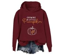 Growing A Little Pumpkin Sweatshirt & Hoodie Cute Fall Pumpkin Graphic Halloween Pregnancy Sweater