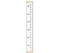 Growth Chart for Kids,Removable Kids Height Wall Chart - Reusable Growth Ruler with Lanyard Measurement Marker for Nursery Baby Room Child's Bedroom