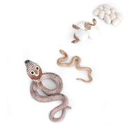 Growth Cycle Educational Toy for Kids, Vivid Plastic Animal Model for Understanding Snake Life Cycle, PVC Material, Set of 4 Units