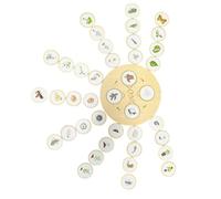 Growth Cycle Puzzle Toy For Kids Nature Animal Plant Learning Life Growing Education Toy Parents Kids Activity Toy