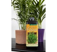 Growth Technology Ltd 1L Palm Focus