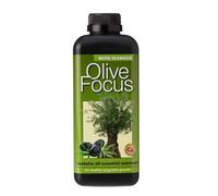 Growth Technology Olive Focus Liquid Fertiliser Olive Tree Feed Concentrate 1L