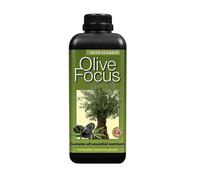 Growth Technology Olive Focus Plant Feed 1L