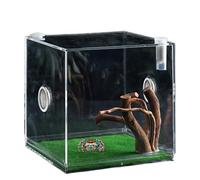 Growth Terrarium Cleant Terrarium Small and Light Animal Breeding Box for Turtles, Beetles, Slugs and Lizards