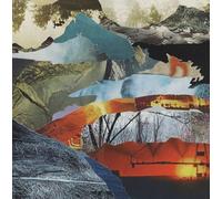 Grubbs, David - Whistle From Above [VINYL]