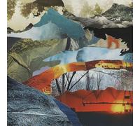 Grubbs, David - Whistle From Above [VINYL]