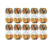 Gründl felting wool colour, (OEKO-TEX ® certified, 100% new wool for felting, 50 g / 50 m, needle size: 8-9, 10 balls á 50 g), blue-green-ochre-red-orange multicolour