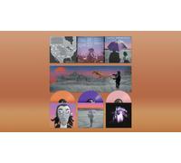 Gruff Rhys - American Interior (2025 Remastered Bonus Edition) (Deluxe) [VINYL]