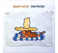Gruff Rhys - Dim Probs [CASSETTE]