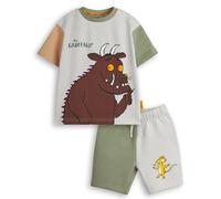 Gruffalo Boys T-Shirt & Shorts Set | Kids Colour Blocked Short Sleeve Graphic Tee with Matching Bottoms | Mouse Fairytale Julia Donaldson Book Apparel Outfit | Daywear Merchandise Gift