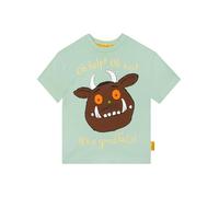 Gruffalo Boys Tshirt, Kids T Shirt with Back Print, Cotton Kids Clothes, Short Sleeve Boys' T-Shirts, Green 18-24 Months