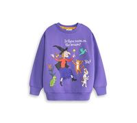 Gruffalo Characters Boys Sweatshirt | Options Stickman, Zog, Room On The Broom Witch | Unisex Kids Long Sleeve Crew Neck Top Print | Streetwear Merch for Children