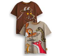 Gruffalo & Friends Boys Brown Big Character Short Sleeved T-Shirt - 4-5 Years