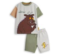Gruffalo & Friends Boy's Toddler T-Shirt & Shorts Set (Boys Multicoloured) | Size: 4-5 Years Gruffalo & Friends Multicolor 4-5 Years