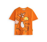 Gruffalo & Friends Kids Short Sleeved T-Shirt (Unisex Kids Orange) in Orange | Size: 12-18 m Gruffalo & Friends Orange 12-18 m