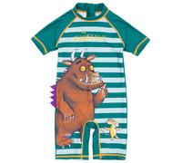 Gruffalo & Friends Unisex Kids Green 1 Piece Surf Suit - 12-18 Months