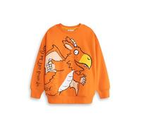 Gruffalo Zog Unisex Kids Orange Sweatshirt | Long Sleeve Crew Neck Pullover with 'Up and Off He Flew' Cartoon Print | Fun Streetwear for Playtime & Everyday Wear | Zog Merch - 12-18 Months
