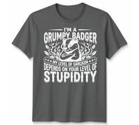 Grumpy Badger Sarcasm Animals Mens T-Shirt Womens Tee Funny Graphic Unisex Tee I Am A Grumpy Badger My Level of Sarcasm Depends On Your Level of Stupidity Witty Humor. Unisex L Light Graphite