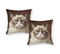 Grumpy Cat The Ultimate Mood Killer Pillow Slips Lightweight & Breathable Silky Pillowcase Office 12"x12"