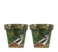 Grumpy Gardener Set of Two 37.5cm XL SongBird Planters