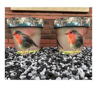 Grumpy Gardener Set of Two 37.5cm XL SongBird Planters WOOD PECKER