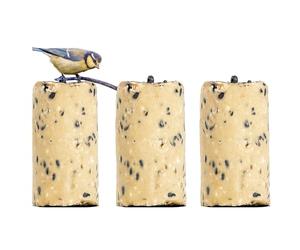 Grumpy Gardener Suet Logs Bird Food - Wild Bird Feed Blocks, 1.2kg