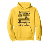 Grumpy Old Veteran Funny US Flag Grandpa Patriotic Pullover Hoodie