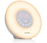 Grundig Light Alarm Clock, Daylight Alarm Clock, Radio Alarm Clock, Bluetooth Speaker, AUX and USB, Natural Sound, White