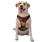 Grunge Rose Vintage Music,Pet Harness,Adjustable Reflective Dog Harness,Pet Leash Vest,S