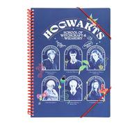 Grupo Erik Harry Potter A4 Display Folder | 30 Pockets - Propylene Sleeves | A4 Display Book, Document Envelope with Velcro Closure | Harry Potter Gifts, Harry Potter Stationery