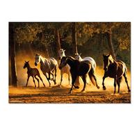 Grupo Erik Andalusian Horses Poster - 36 x 24 inches / 91.5 x 61 cm - Shipped Rolled Up - Cool Posters - Art Poster - Posters & Prints - Wall Posters