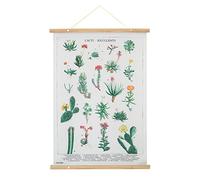 Grupo Erik Botanical Cacti Wallscroll - Hanging scroll/Poster/Kakemono/Wall Decor - 19.7 x 27.6 inches / 50 x 70 cm - Japanese Gifts, Japanese Wall Art