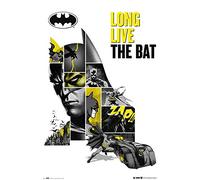 Grupo Erik DC Comics Batman 80th Anniversary Poster - 36 x 24 in, Gifts | 91.5 x 61 cm, Shipped Rolled Up - Cool Posters, Art Poster, Wall Posters & Prints | DC Comics Batman Merch, Home Wall Decor