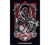 Grupo Erik Dungeons & Dragons Poster