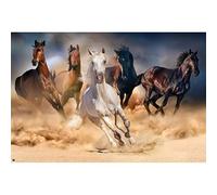 Grupo Erik Five Horses Poster - 36 x 24 in / 91.5 x 61 cm, Gifts | Shipped Rolled Up - Cool Posters, Art Poster, Wall Posters & Prints | Home Wall Decor