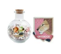 Grupo Erik Harry Potter Puzzle - Harry Potter Gifts For Girls & For Boys | 322 Piece Jigsaw Puzzle & Potion Bottle | Gryffindor Gifts Under 15 Pounds, Home Decor