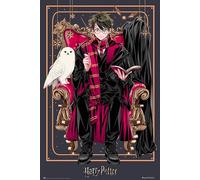Grupo Erik Harry Potter Wizard Dynasty Harry Potter Poster - 36 x 24 inches / 91.5 x 61 cm - Shipped Rolled Up - Cool Posters - Art Poster - Posters & Prints - Wall Posters
