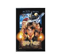 Grupo Erik Magnetic Wall Hanger, Hanging Set + Poster, 61 x 91,5 cm