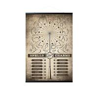 Grupo Erik Magnetic Wall Hanger + Poster Harry Potter Spells & Charms - 36 x 24 inches / 91.5 x 61 cm - Shipped Rolled Up - Cool Posters, Art Poster, Wall Posters & Prints