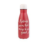 Grupo Erik Harry Potter Metal Water Bottle 260ml / 9oz | Hot and Cold Water Bottle, Thermos Flask, Stainless Steel Water Bottle, Travel Bottles, Gym Bottle | Harry Potter Gifts